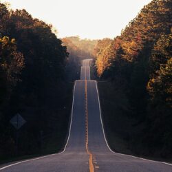 Rebuilding my Life from Scratch